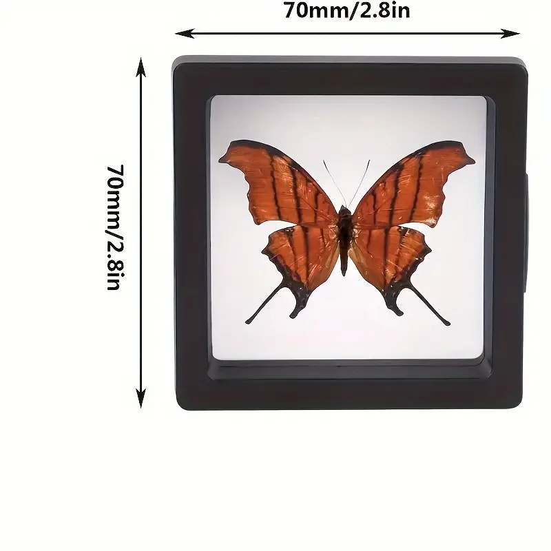20Pcs Clearview 3D Floating Di - Jewelry Making Organizer Box 评论和价格