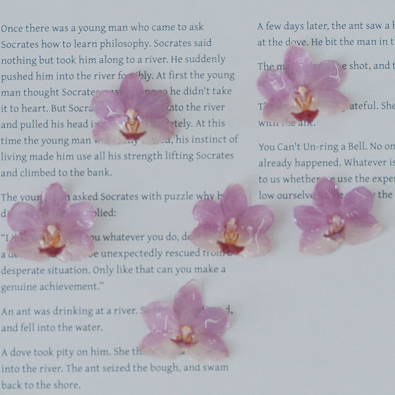 DIY Jewelry Natural Pink Resin - Jewelry Making Event 评论和价格