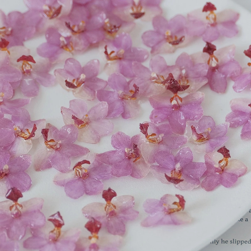 DIY Jewelry Natural Pink Resin - Jewelry Making Event 评论和价格
